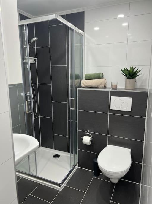 Gemuetliche In Appartement Baiersbronn